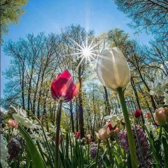 Meet your Posher - Picture 1 of 1